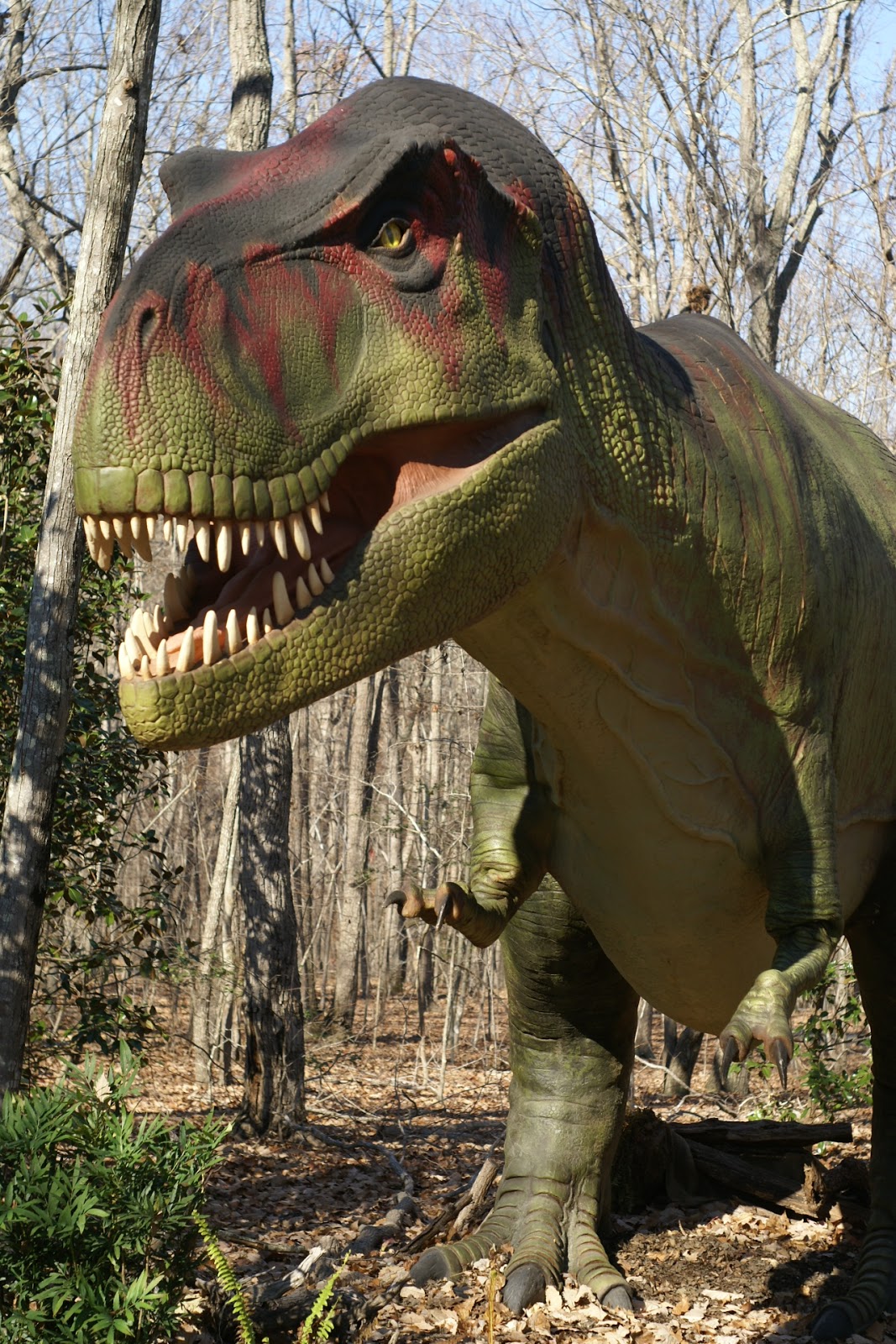 dino zoo damme