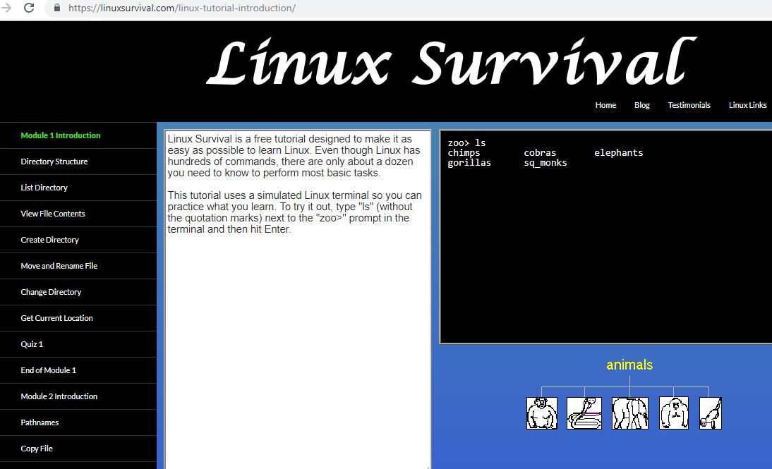 Free online linux terminals you didn t know exist