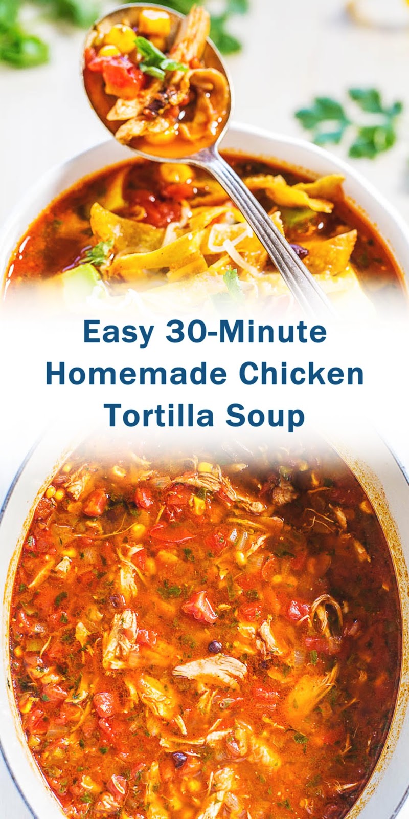 Easy 30-Minute Homemade Chicken Tortilla Soup