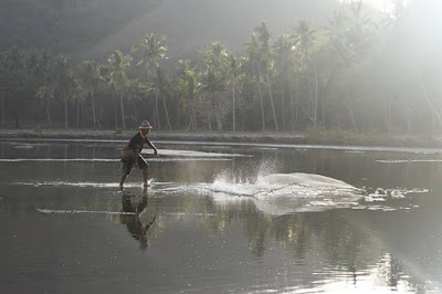 man fishing with net
