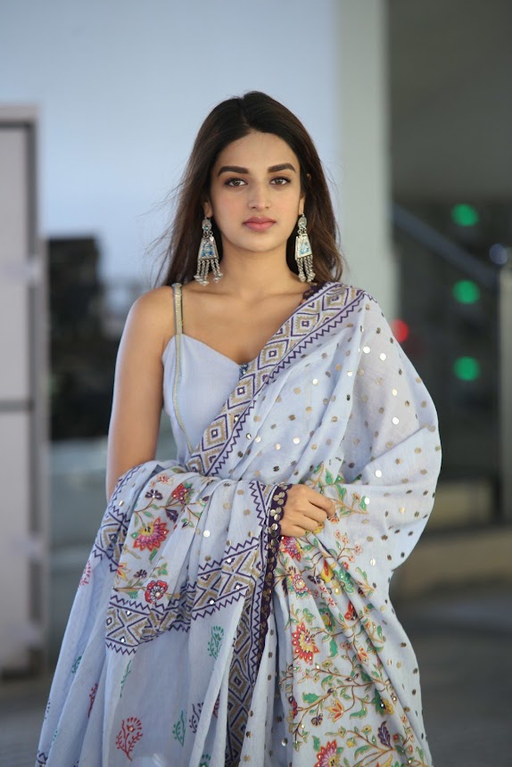 Nidhhi Agerwal in Savyasachi movie