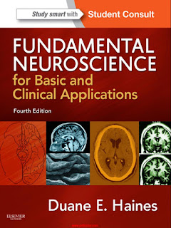 Fundamental Neuroscience for Basic and Clinical Applications 4th Edition