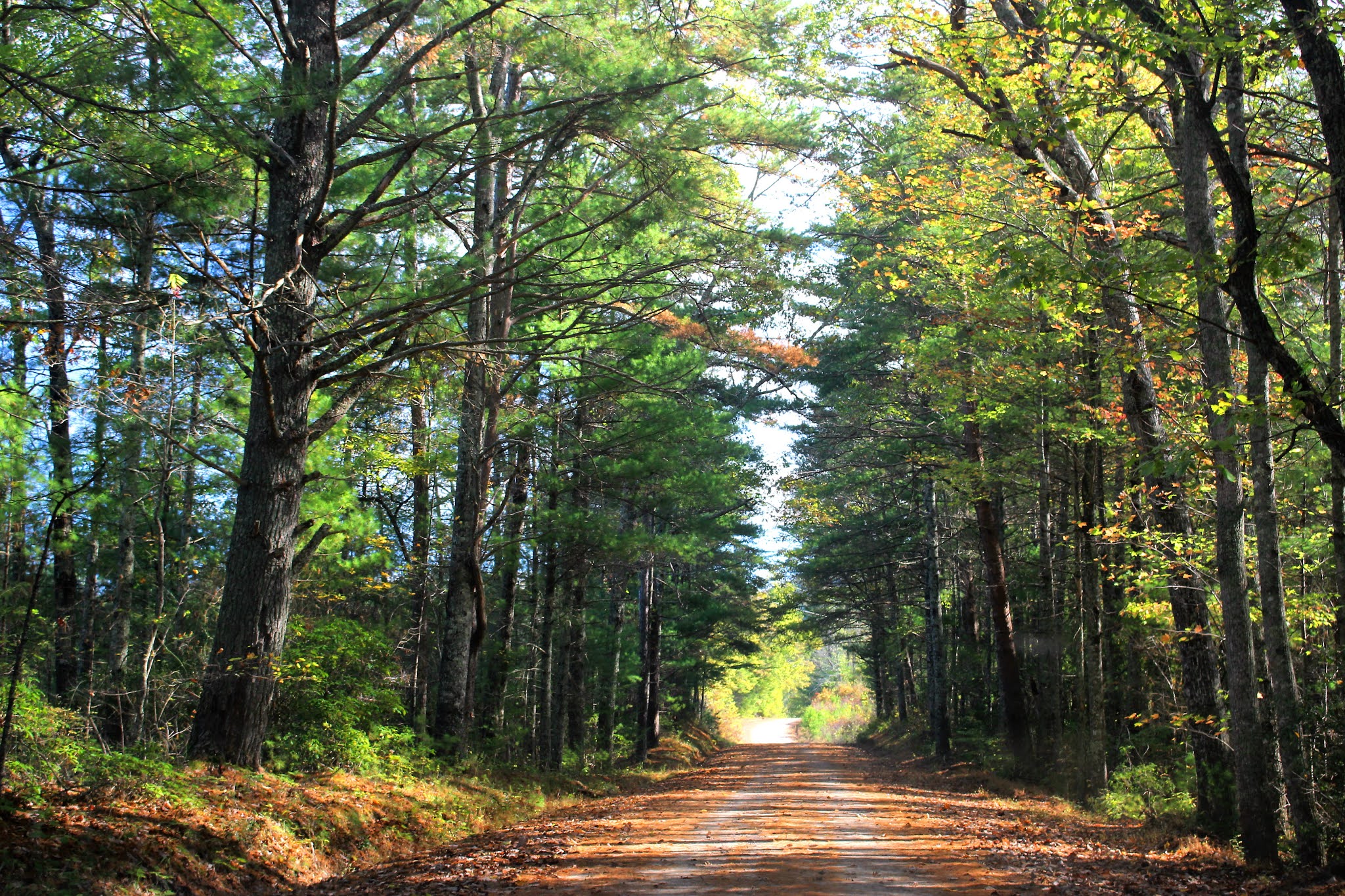 Cumberland Gal Joe Brown Highway Coker Creek to Murphy and Back