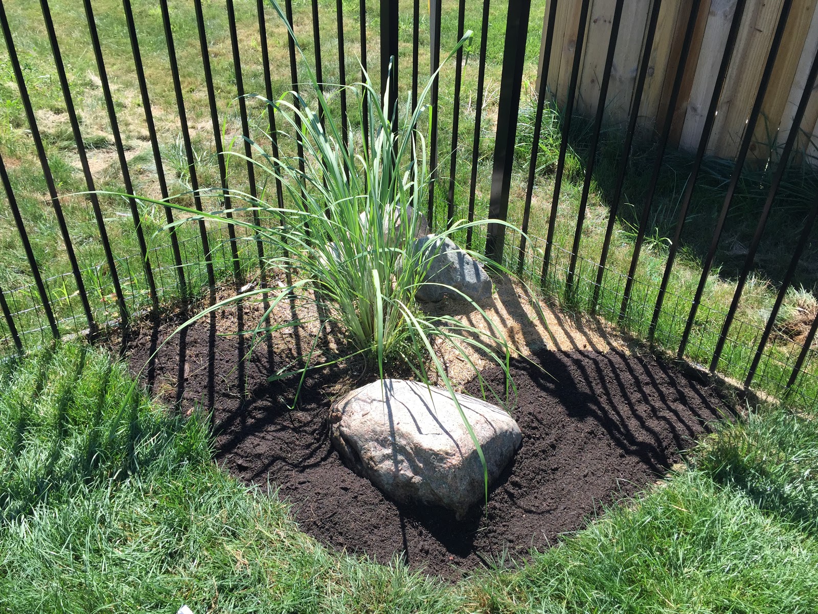 Expanding Mulch Beds [Backyard Neophyte Landscaping Blog]