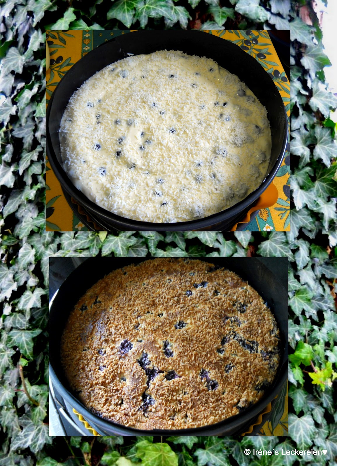 Irène`s Leckereien♥: Heidelbeer-Quark-Kuchen
