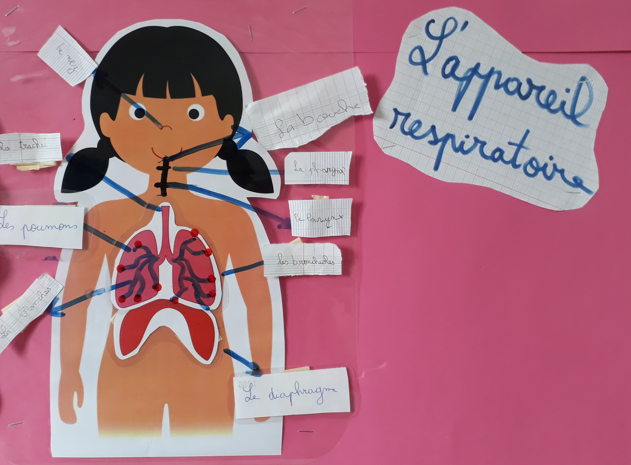 CienciArtes Le trajet de l’air