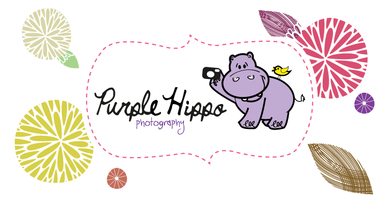 Purple Hippo Photography