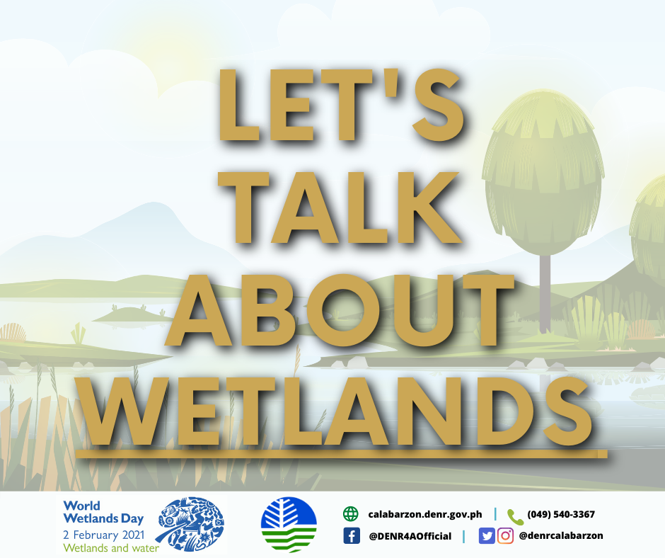 Why Are Wetlands Important? Feat. Wetlands and Lakes in CALABARZON