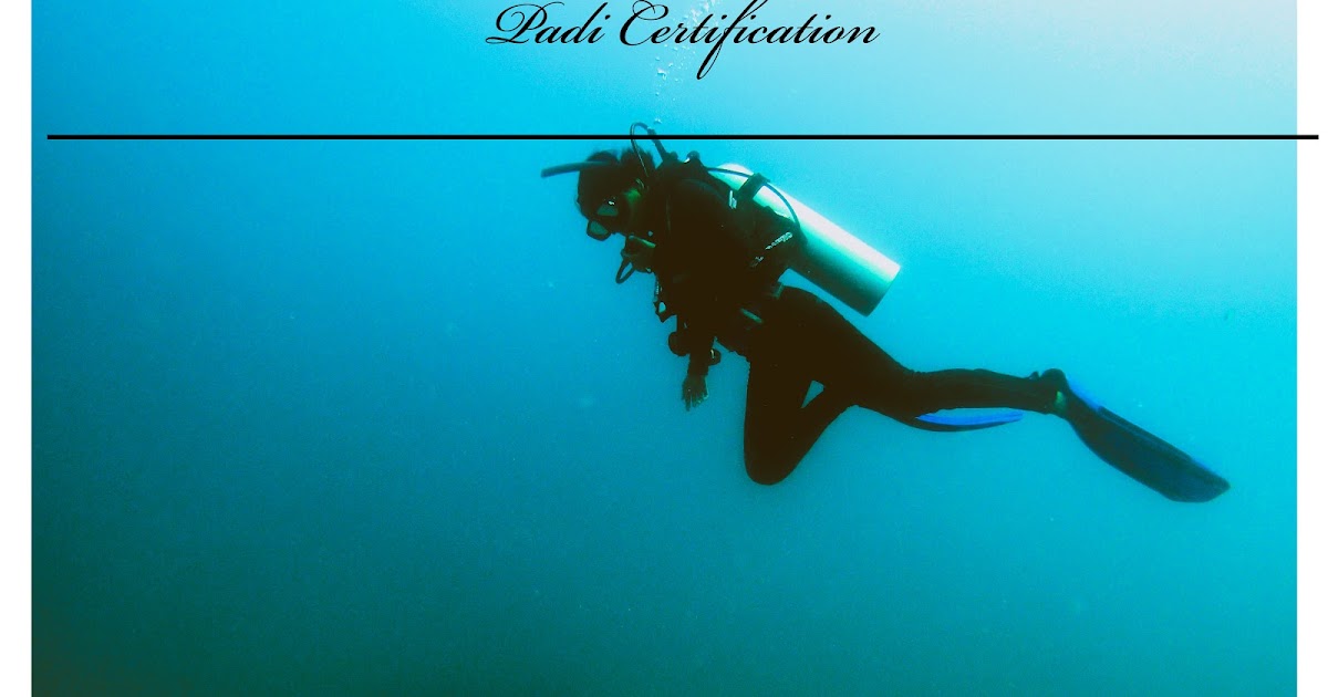 Barefoot Scuba Havelock, Anadmans Islands India - Life changing experience 