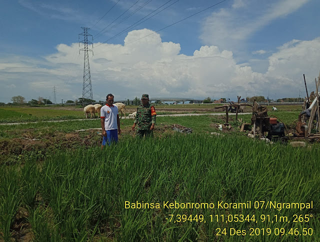 Babinsa Kebonromo Monitoring Pengairan Sawah