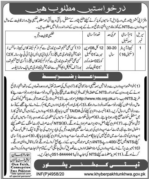 Nts Jobs 2021 Application Form Government Of Kpk Recruitment Fastly Jobs