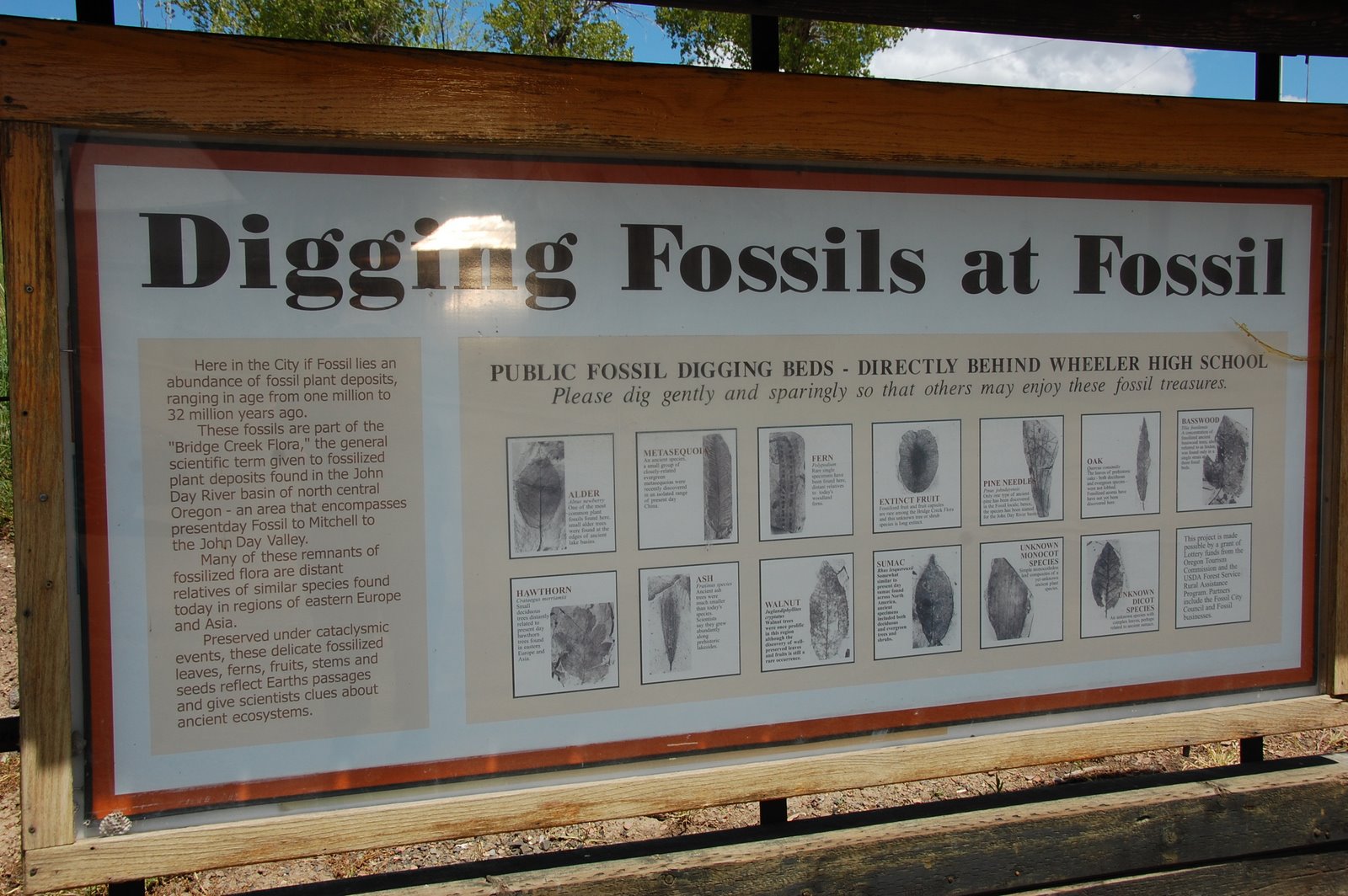 Q on holiday Fossil, Oregon