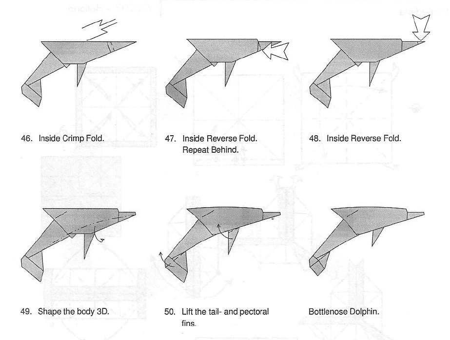 PAPIROFLEXIA PARA TOD@S: DELFIN
