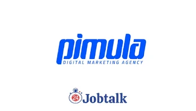 Pimula Agency Summer Internship