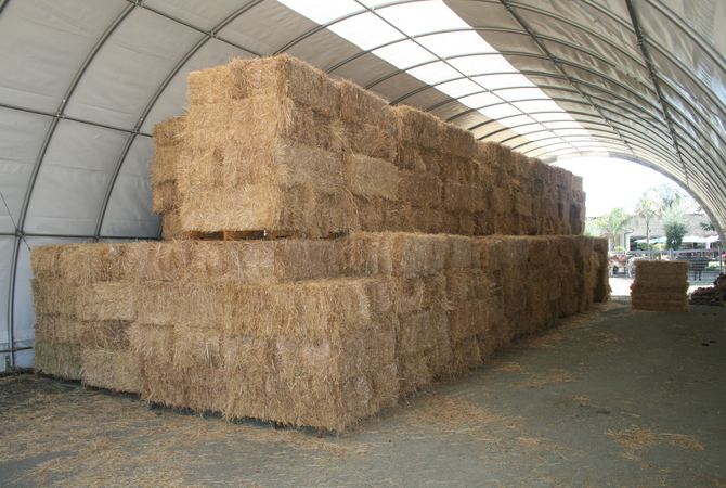 Wafer Hay Per Conigli E Roditori - 2000g Di Cubetti Di Fieno Depolverizzato, Alimento Complementare - Foto 10