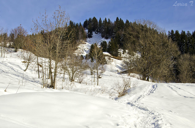 Giettaz-en-Aravis, Masivul Beaufortain, Alpii Francezi,