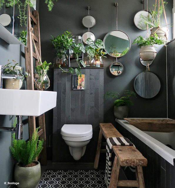 Beautiful Bathroom indoor plants