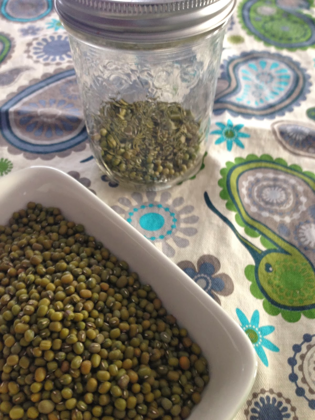 Whole, Fresh, Delicious Sun Dried Tomato and Mung Bean Dip