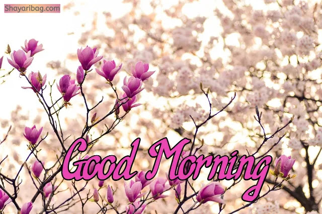 Good Morning Flowers Image Good Morning Flowers Image