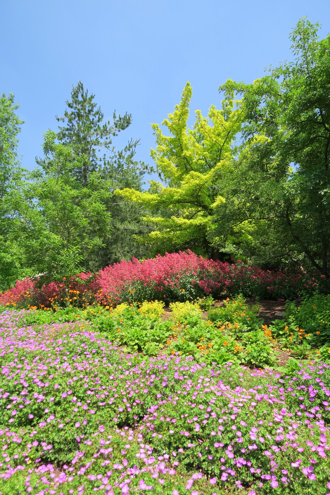 Cindy deRosier My Creative Life Urban Adventure Quest, Salt Lake City