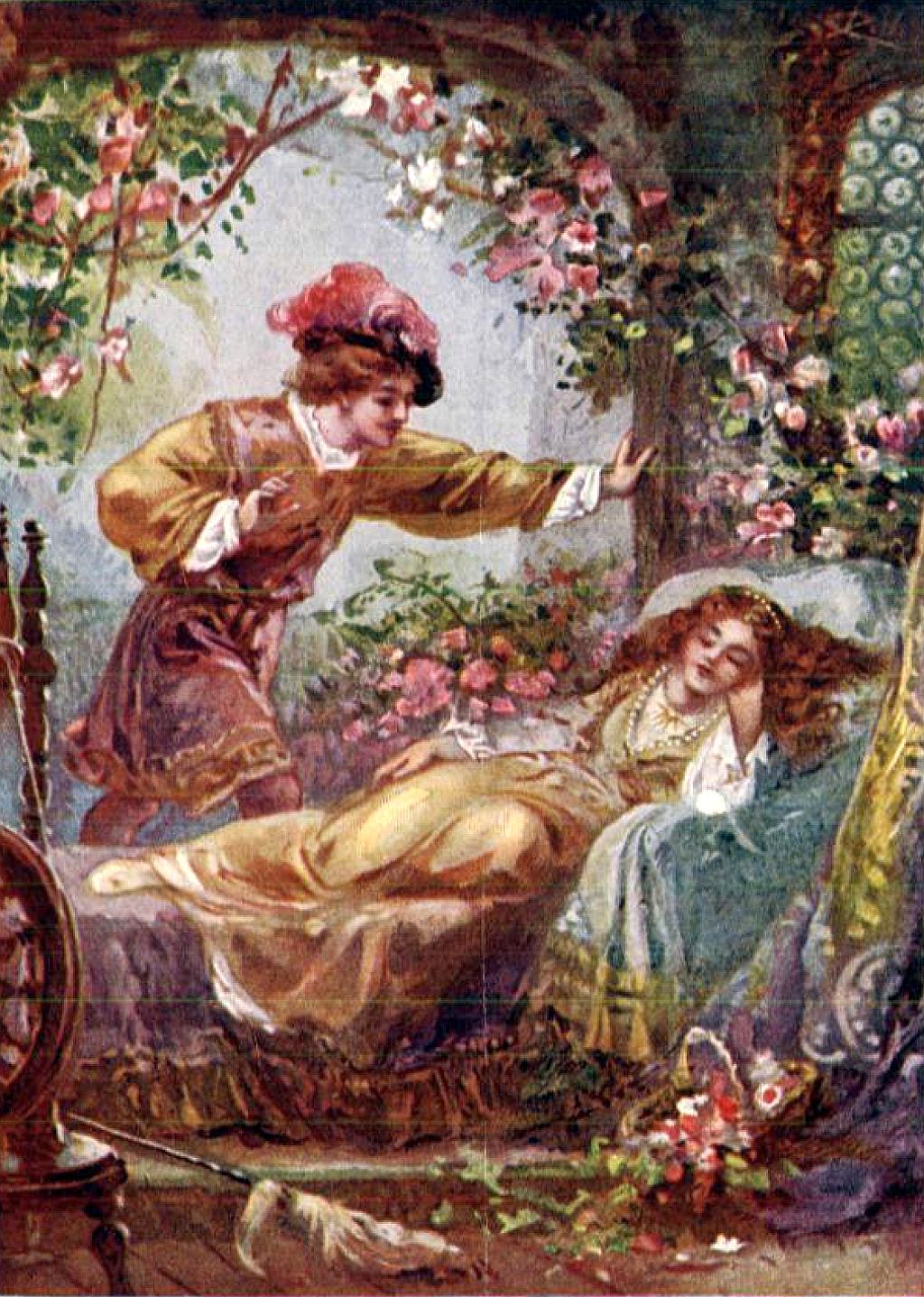 La Bella Durmiente del Bosque Cuento Charles Perrault Leer para crecer Libros, Cuentos