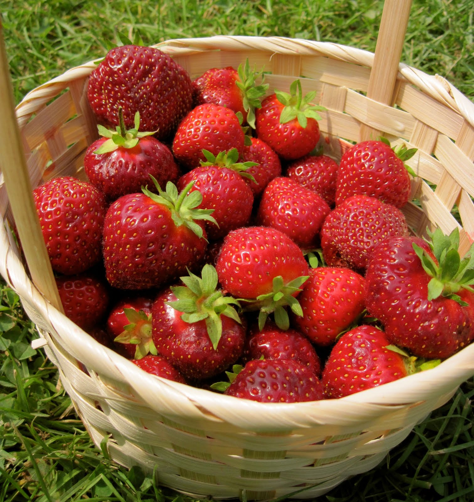 What's Cooking? Fruits and Vegetables A Buying and Cooking Guide