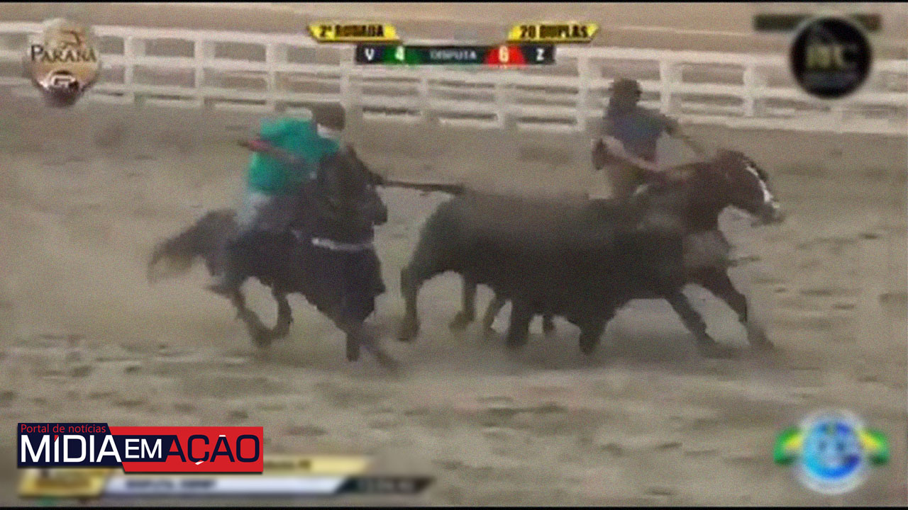 Vaqueiro morre ao ser arrastado por boi e pisoteado por cavalo em Pernambuco; veja vídeo