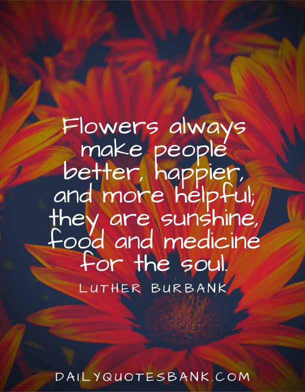 170 Inspirational Quotes About Gardens and Life Lessons