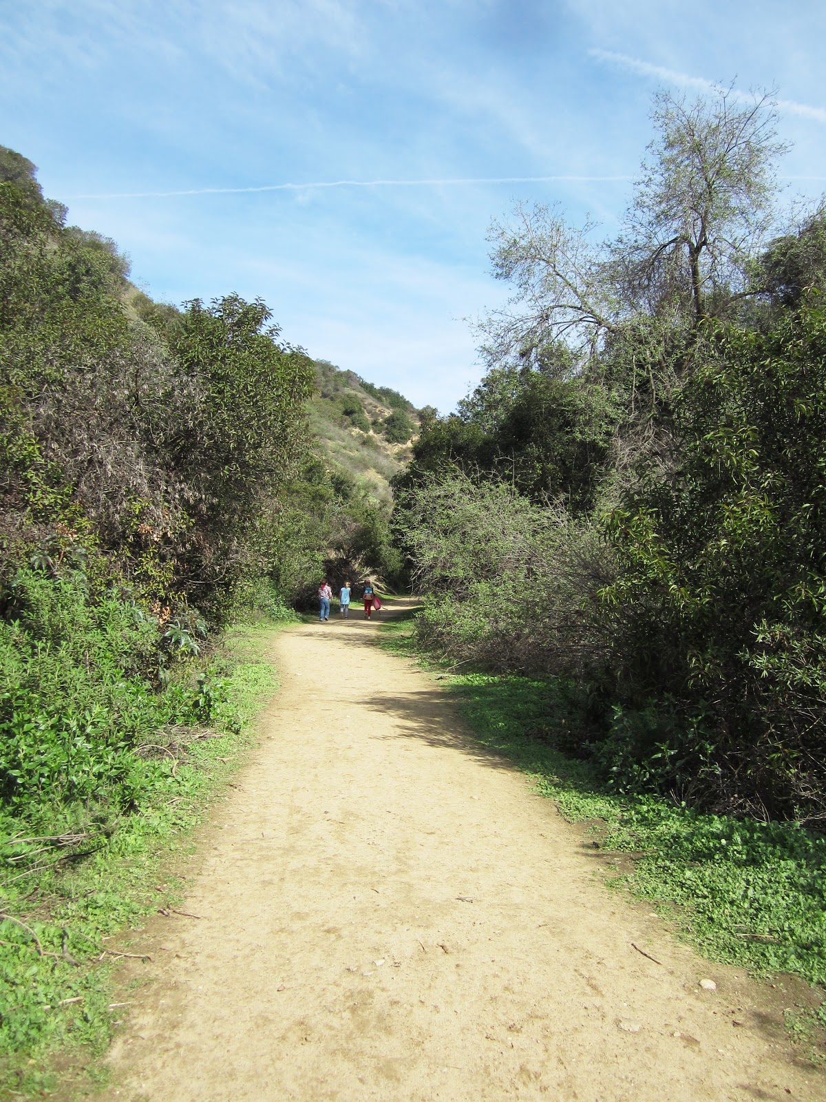 Lilly and the brothers Of Trees and Trails Hellman Wilderness Park