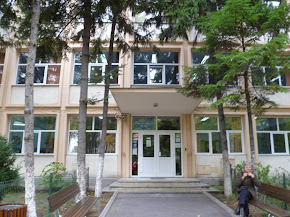 Web Colegio Rumanía