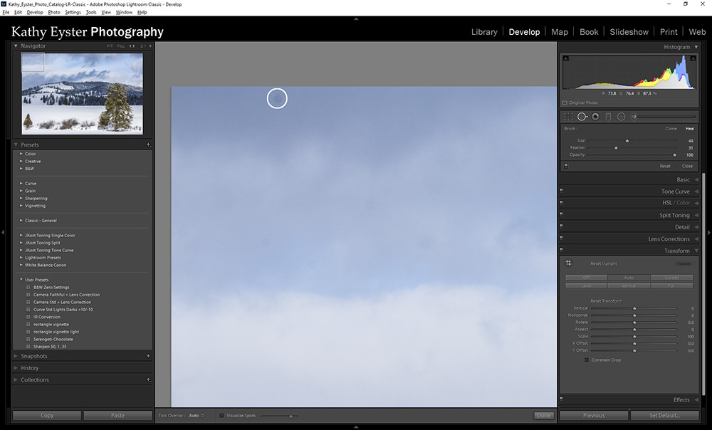 Lightroom Classic Tip The Spot Removal Tool