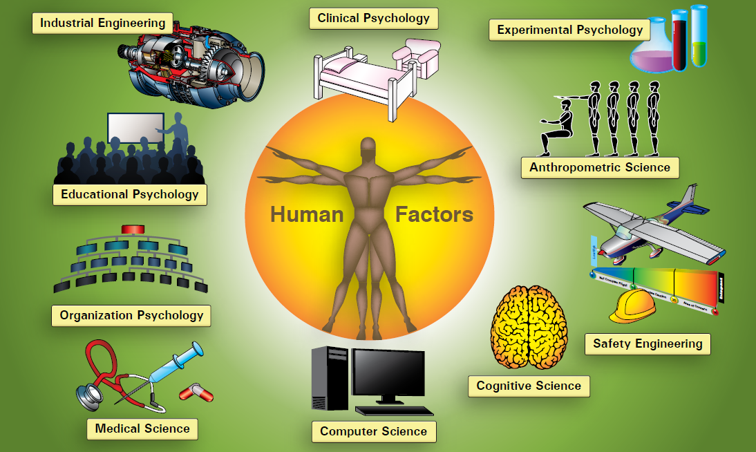 Aviation Human Factors