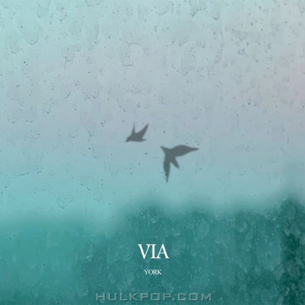 York – Via – Single