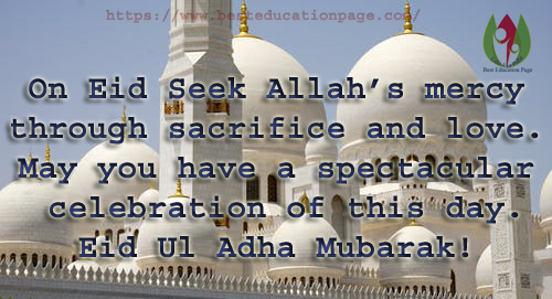 On Eid Seek Allah’s mercy through sacrifice and love