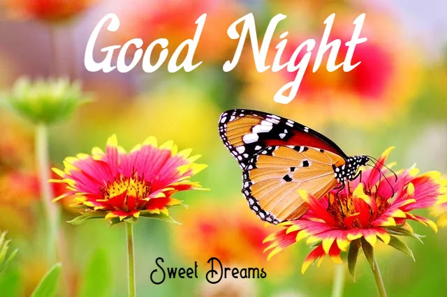 Good Night HD Images Good Night HD Images