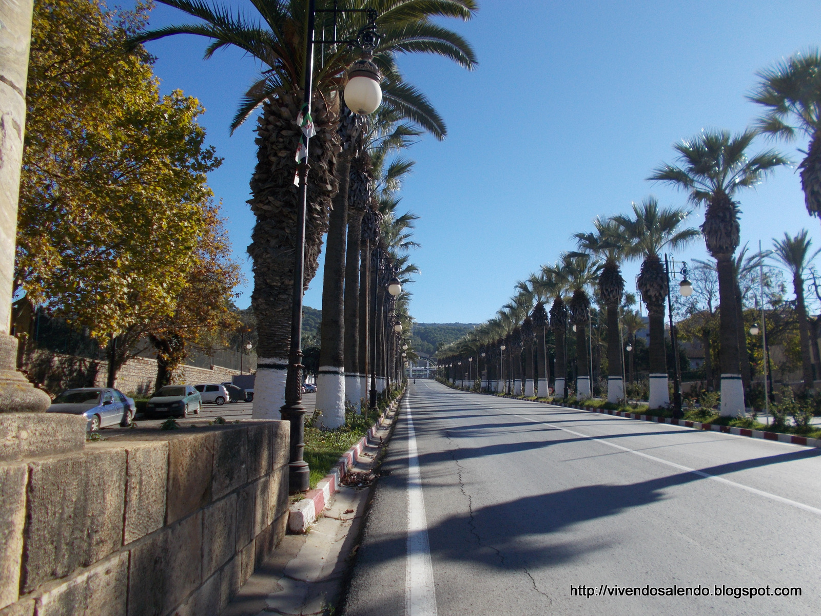 VIVENDO SALENDO Le immagini di Cherchell in Algeria.