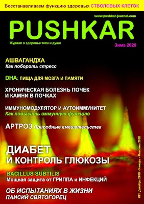 ЖУРНАЛ PUSHKAR №11 ЗИМА 2020