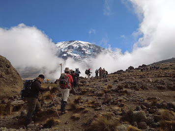 Ascension du Kilimandjaro et Safari