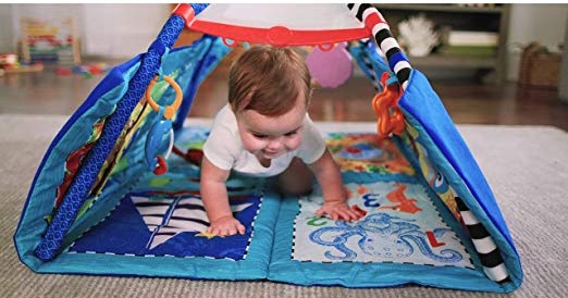 baby einstein discovery seas multi mode activity gym