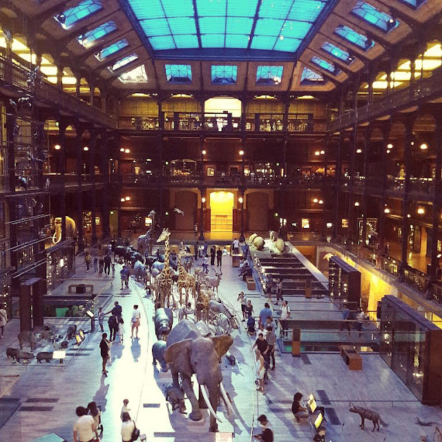 Galerie de l’évolution museum d’histoire naturelle paris musée animaux