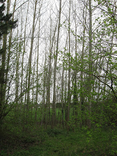 Domestic economies and women's work. Child-rearing theories