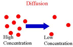 Learn_for_Knowledge: Movements in Cell