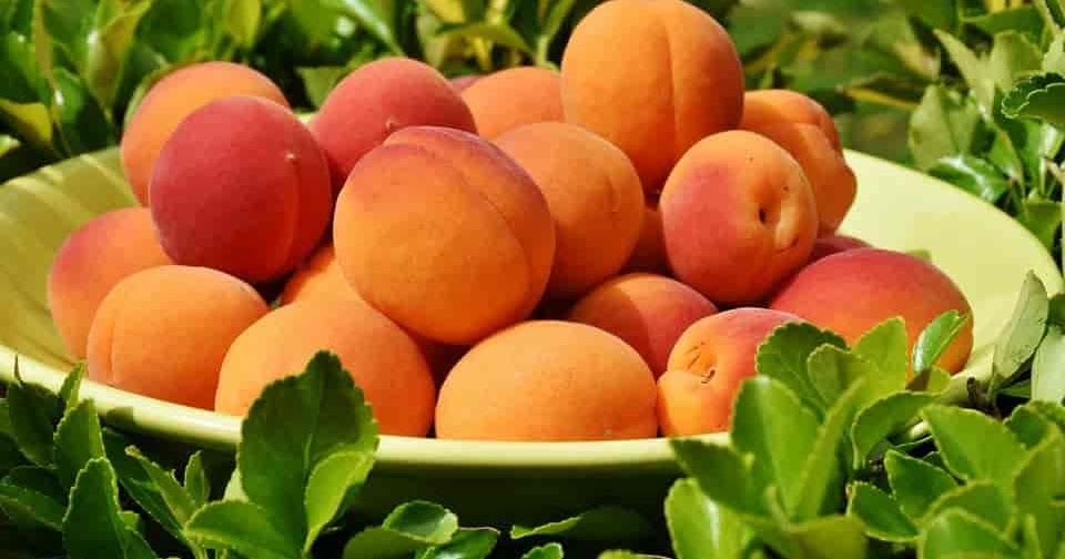 Benefits of peaches for health and its nutritional values