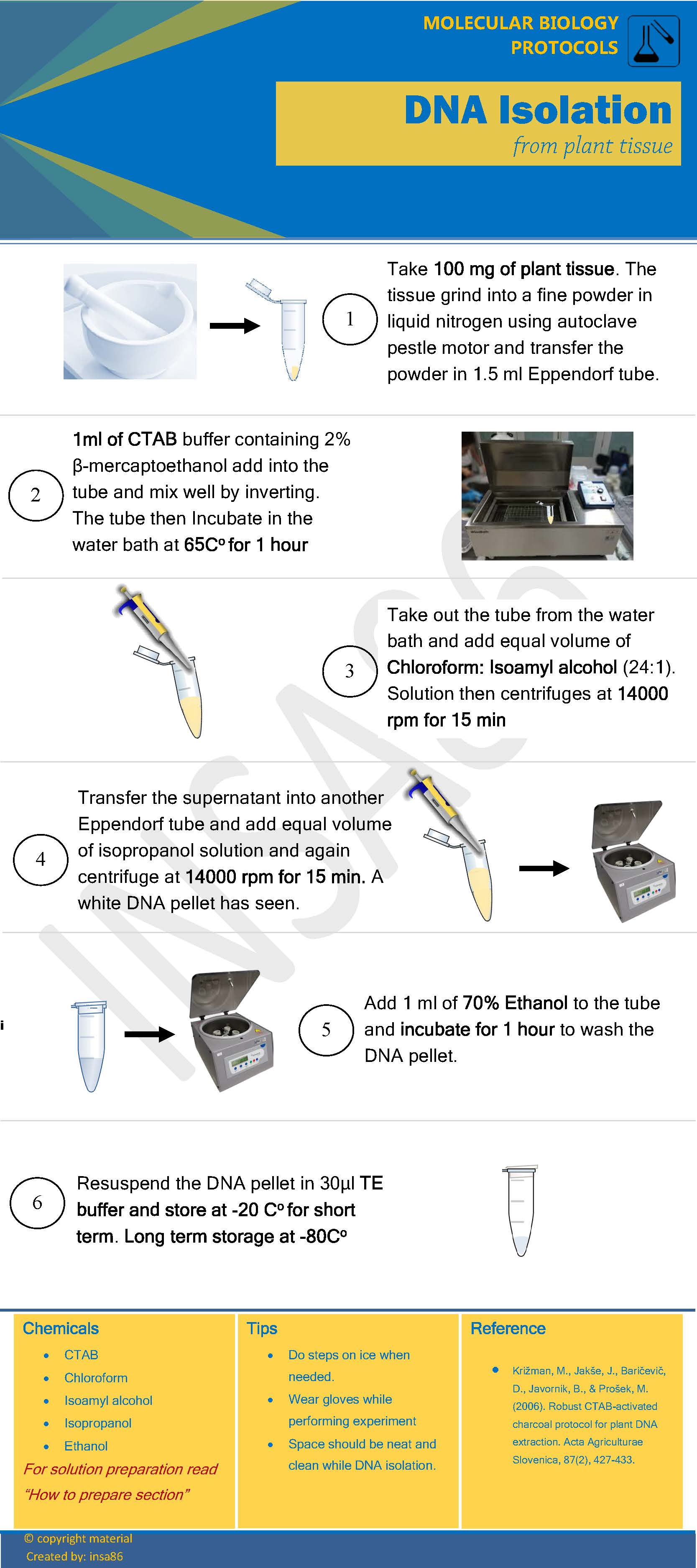 DNA isolation from plant tissue