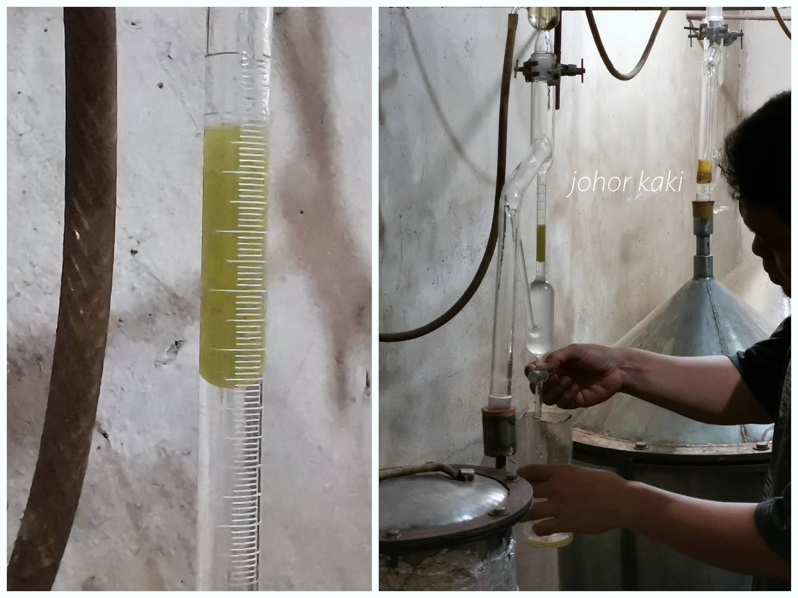 Wild Agarwood In Bangka Belitung Indonesia King Of Incense Scent From Heaven Johor Kaki Travels For Food Wild Agarwood In Bangka Belitung Indonesia King Of Incense Scent From Heaven Johor Kaki Travels For Food