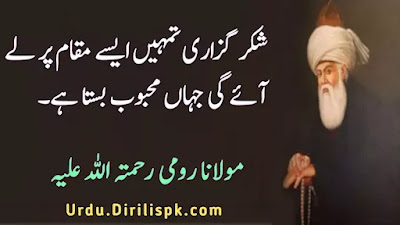 Rumi Quotes in Urdu