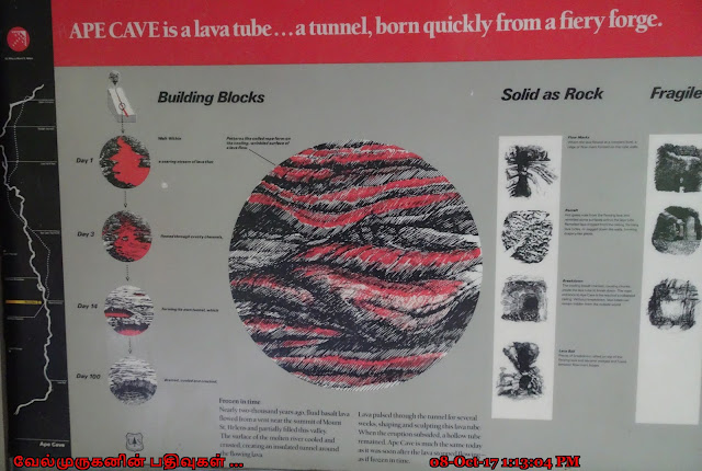 Ape Cave Lava Tube Formation