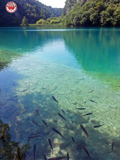 Plitvička Jezera, Croacia