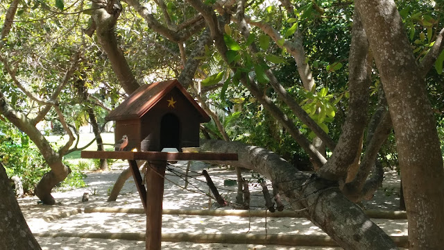 IBEROSTAR BAHIA | Resort em PRAIA DO FORTE 🌴