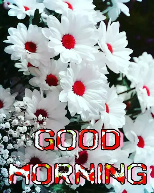 very beautiful good morning images hd
